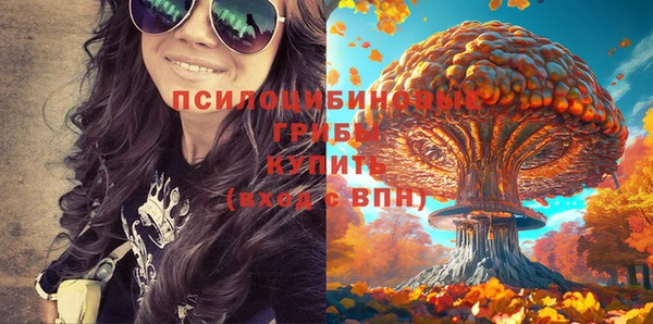 мет Абинск