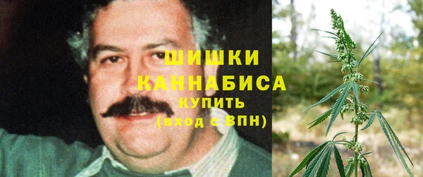 альфа пвп Медногорск