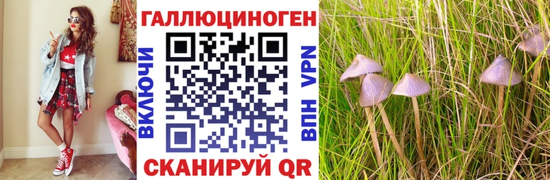 Псилоцибиновые грибы Cubensis  ОМГ ОМГ как войти  Сочи 